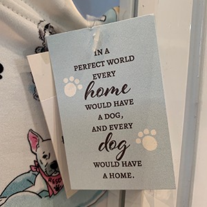 Our Favorite Cotton Sleepwear