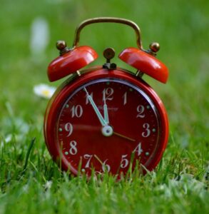 red alarm clock in grass